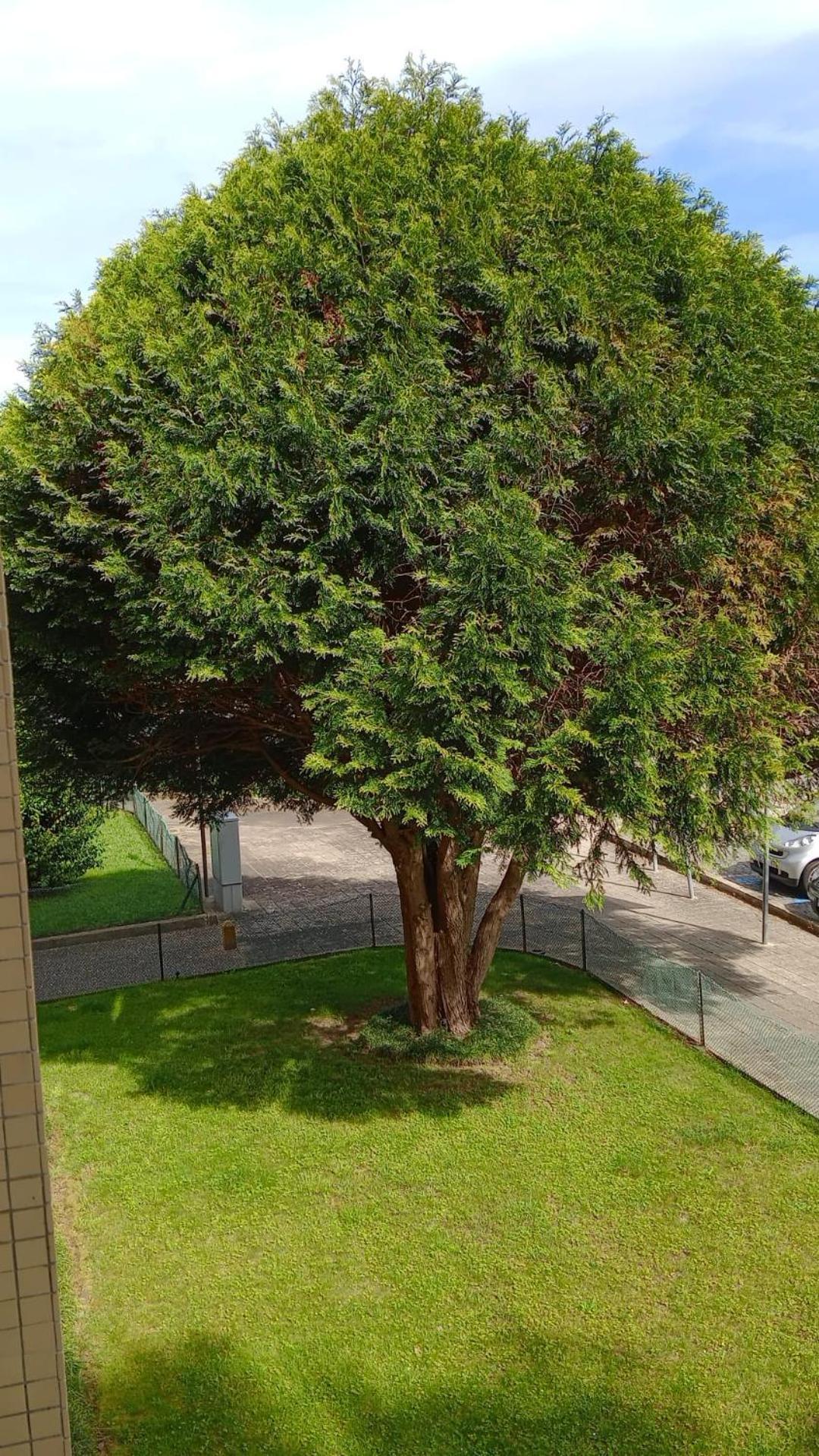 Appartamento Praceta OOporto Esterno foto